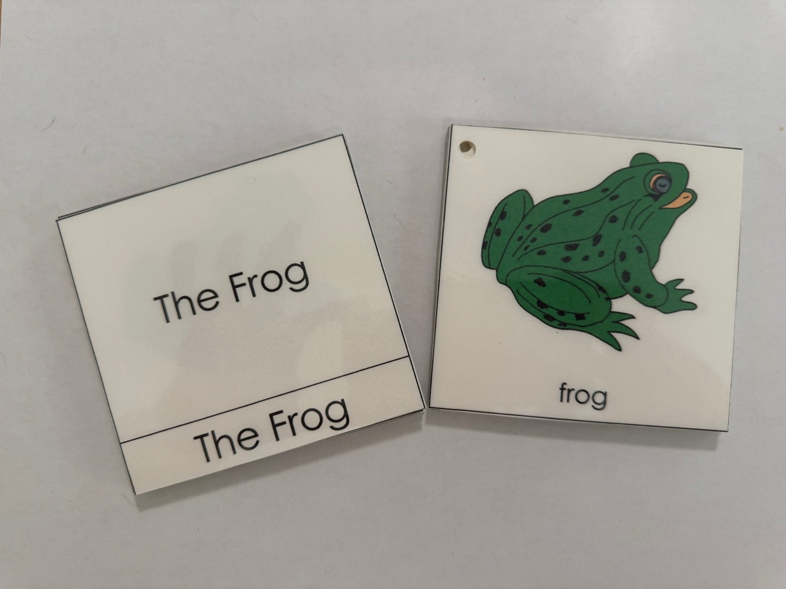 Animal Nomenclature Cards, Montessori nomenclature work