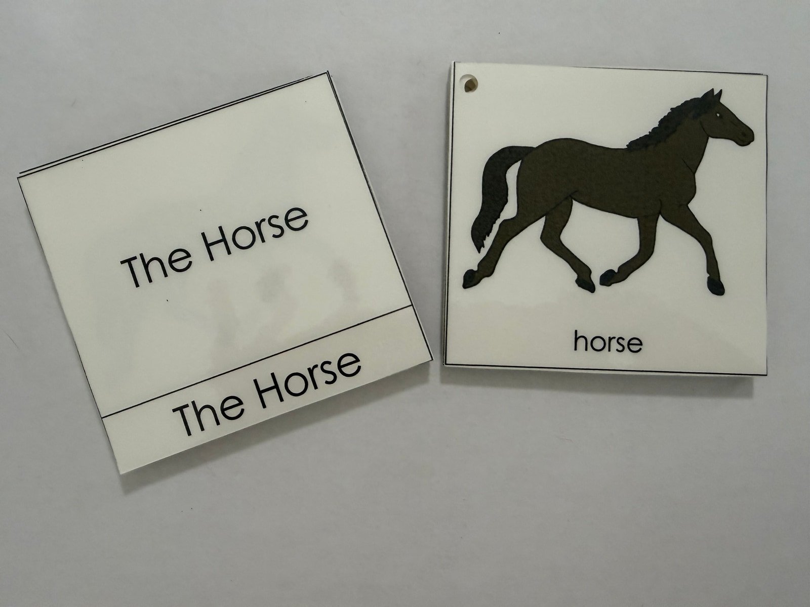 Horse Nomenclature Cards, Montessori nomenclature work