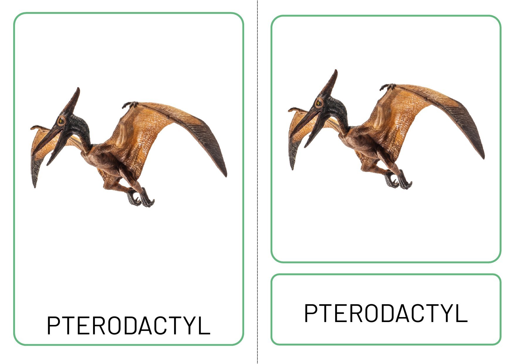 Dinosaur Three Part Matching Cards photo 2