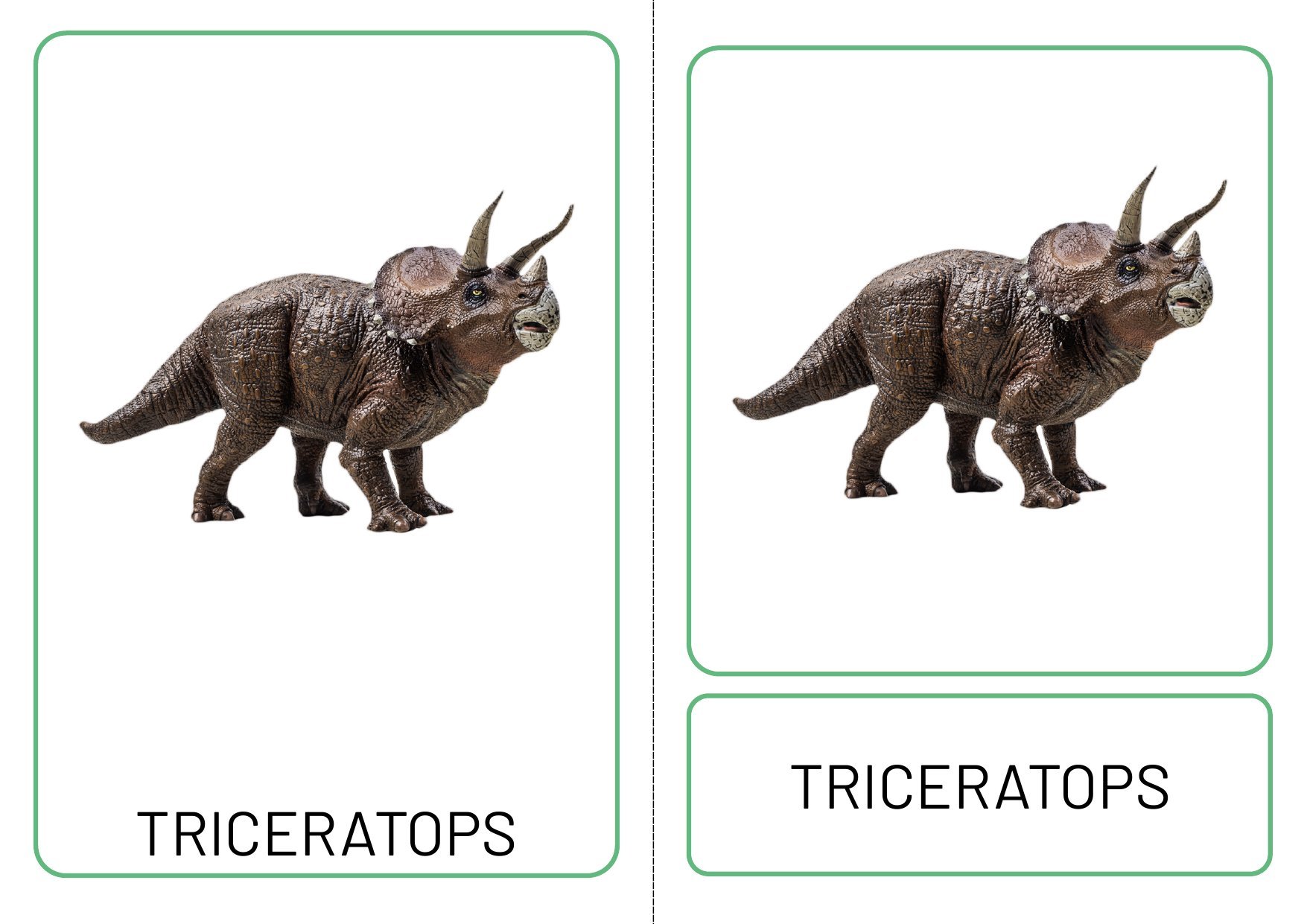 Dinosaur Three Part Matching Cards photo 3