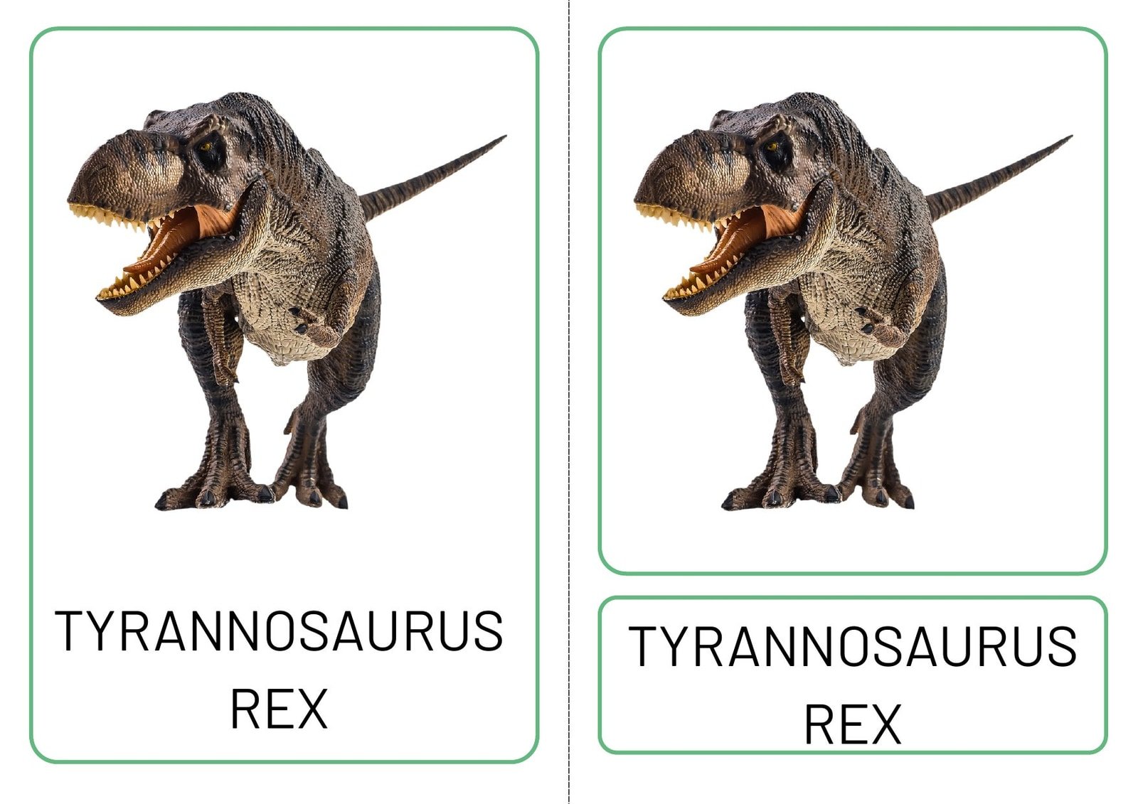 Dinosaur Three Part Matching Cards, Montessori nomenclature work