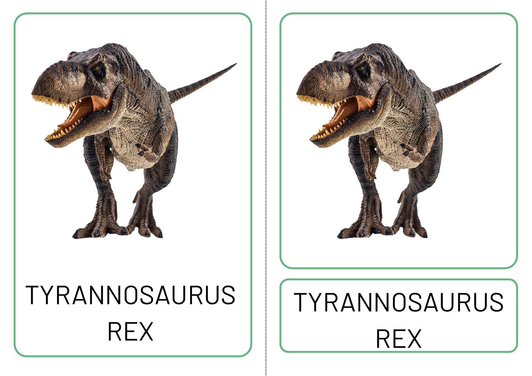 Dinosaur Three Part Matching Cards — Montessori nomenclature work