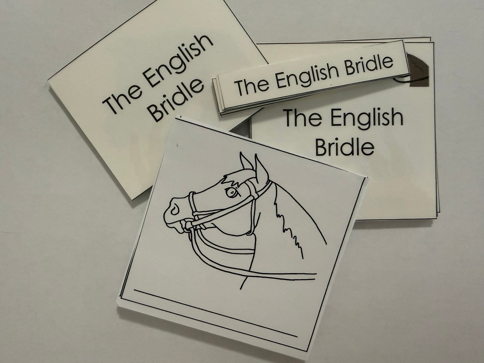 English Bridle Nomenclature Cards, Montessori nomenclature work