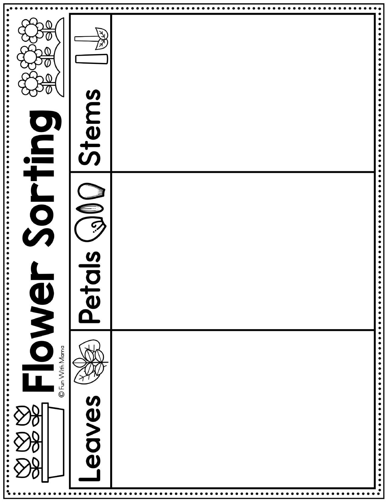 Flower Sorting (Printable) — Montessori printable work