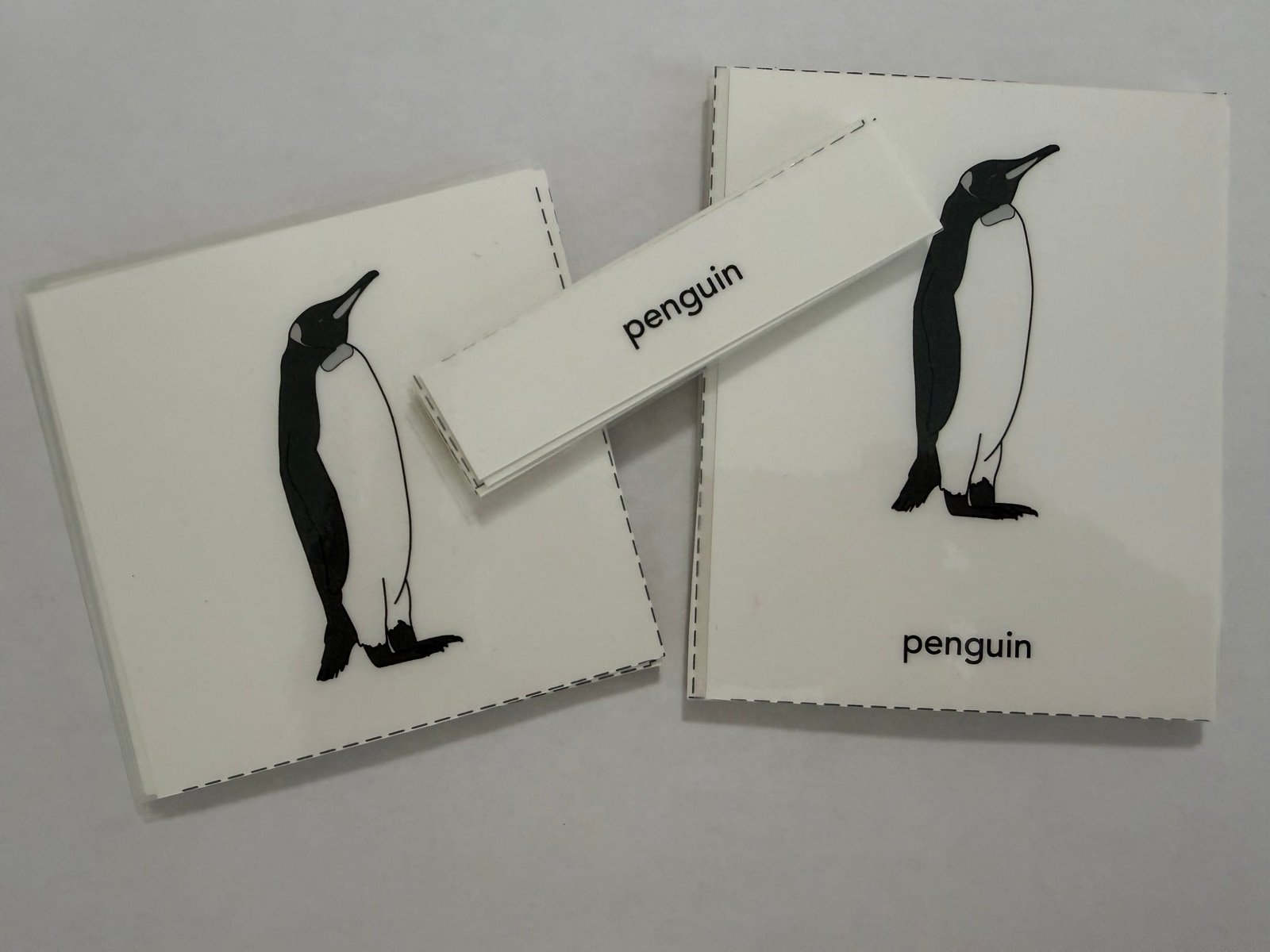 Penguin Nomenclature Cards, Montessori nomenclature work