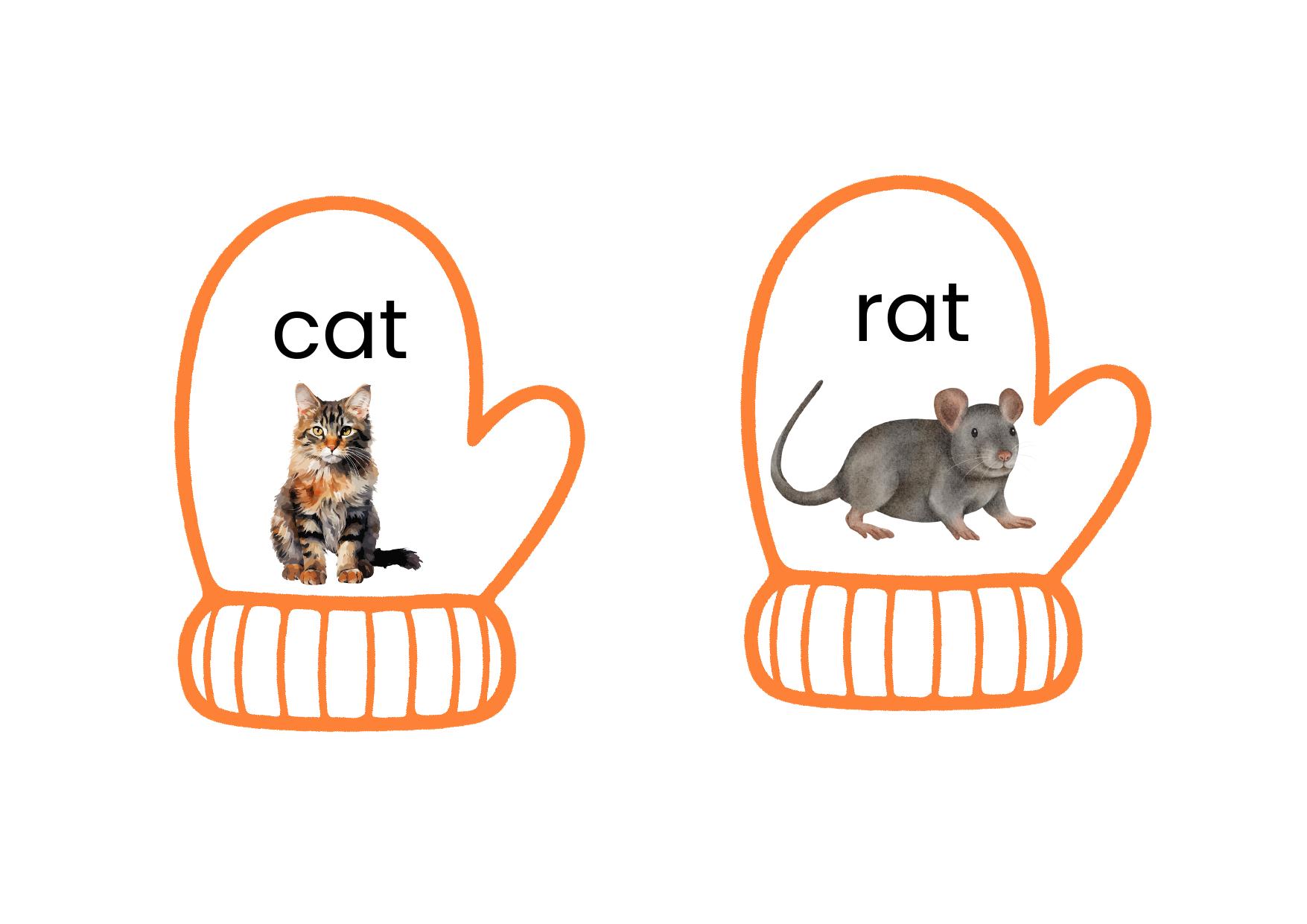 Winter Rhyming Cards — Montessori language work